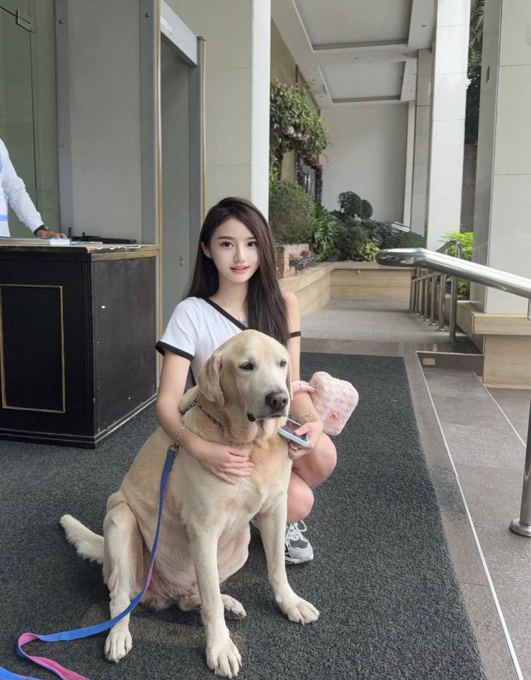 姐姐片多多免费高清电视剧,免费电影在线观看
